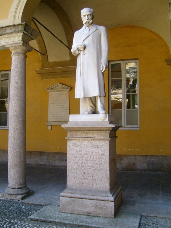 Camillo Golgi's statue 1, Pavia, Italy.JPG